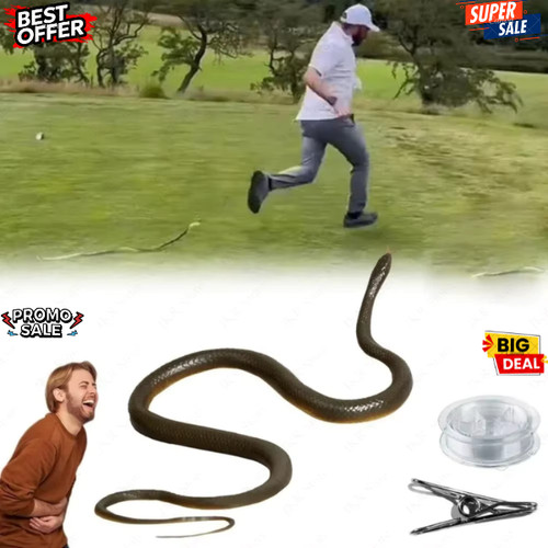 Fake rubber snake prank - prank, toy