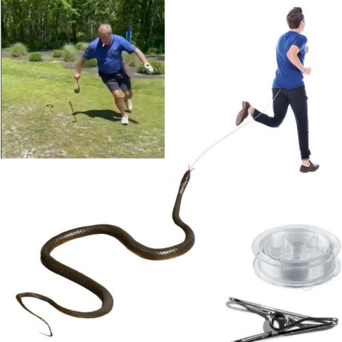 Fake rubber snake - fake,