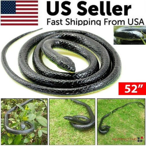 Fake realistic snake lifelike - fake,