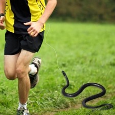 Large Snake Prank Simulation