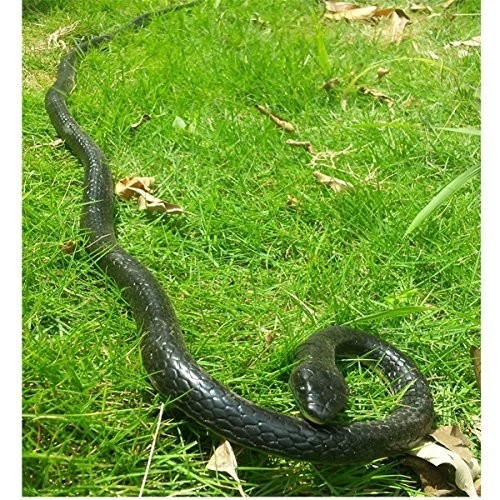 Rubber lifelike snakes - snakes, scary
