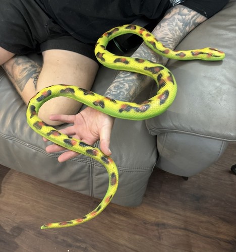 Large long realistic rubber - realistic,