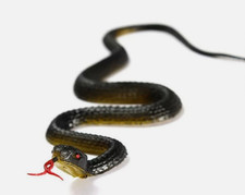 45cm Real Rubber Toy Fake