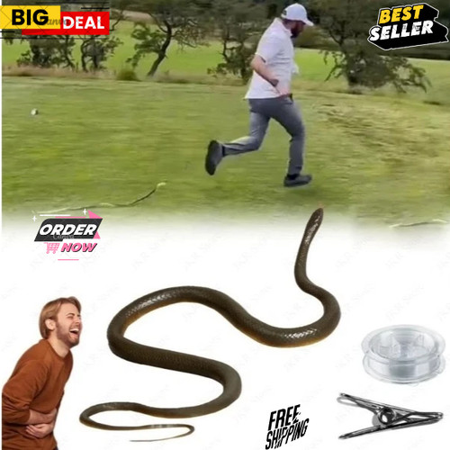 Fake rubber snake - rubber,