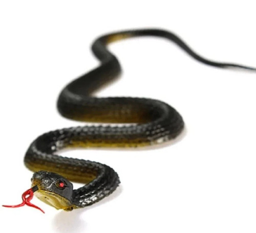 Fake rubber snake prank toy - fake,